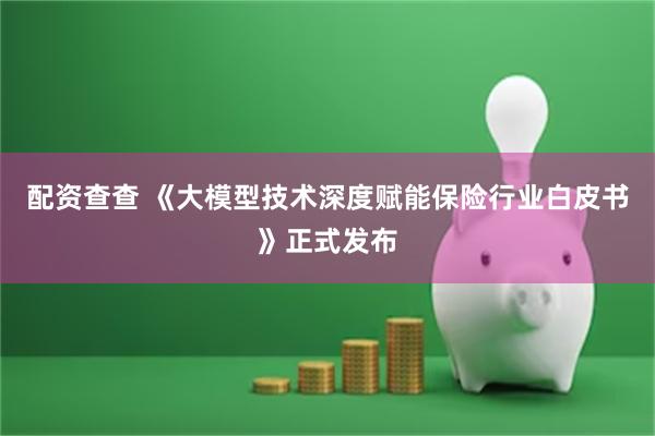 配资查查 《大模型技术深度赋能保险行业白皮书》正式发布