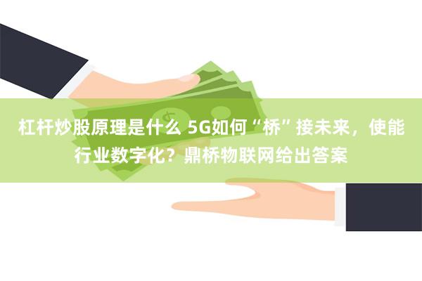 杠杆炒股原理是什么 5G如何“桥”接未来，使能行业数字化？鼎桥物联网给出答案