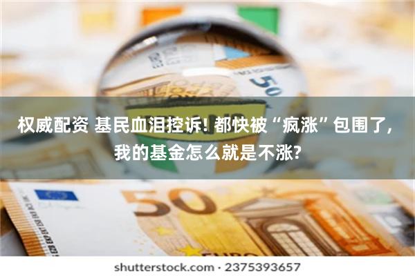 权威配资 基民血泪控诉! 都快被“疯涨”包围了, 我的基金怎么就是不涨?