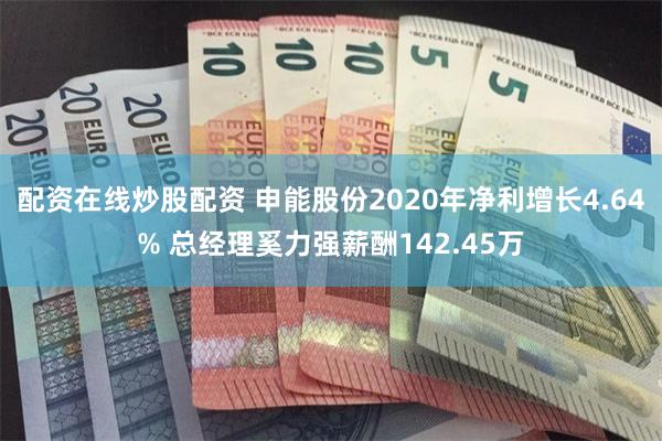 配资在线炒股配资 申能股份2020年净利增长4.64% 总经理奚力强薪酬142.45万