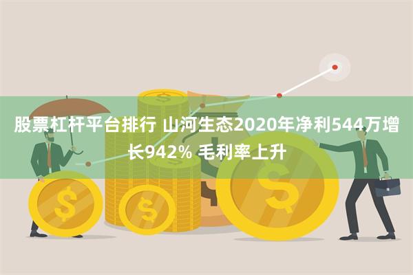 股票杠杆平台排行 山河生态2020年净利544万增长942% 毛利率上升