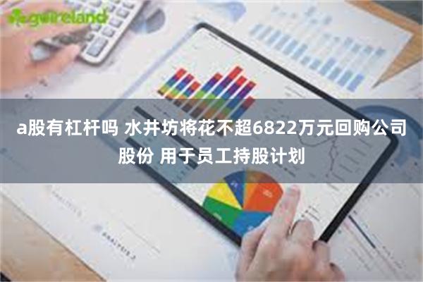 a股有杠杆吗 水井坊将花不超6822万元回购公司股份 用于员工持股计划