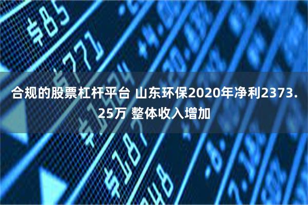 合规的股票杠杆平台 山东环保2020年净利2373.25万 整体收入增加