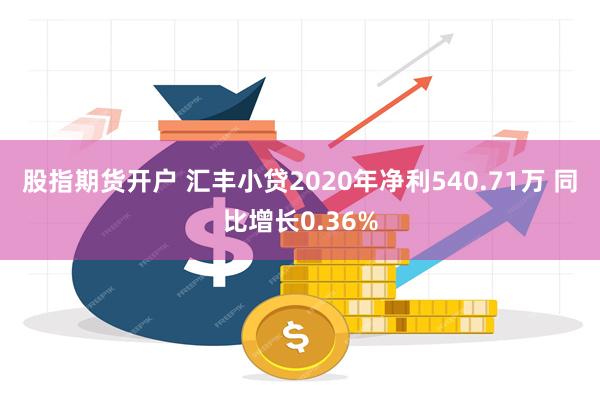 股指期货开户 汇丰小贷2020年净利540.71万 同比增长0.36%