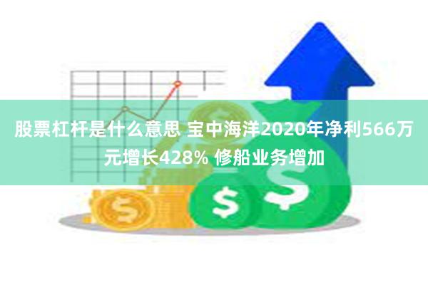 股票杠杆是什么意思 宝中海洋2020年净利566万元增长428% 修船业务增加