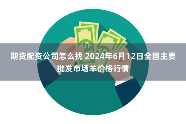 期货配资公司怎么找 2024年6月12日全国主要批发市场羊价格行情