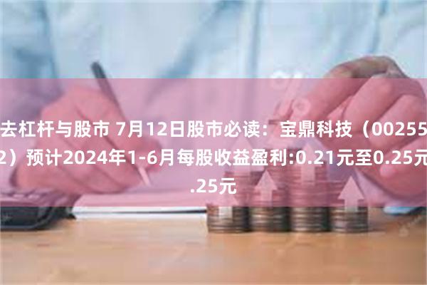 去杠杆与股市 7月12日股市必读：宝鼎科技（002552）预计2024年1-6月每股收益盈利:0.21元至0.25元