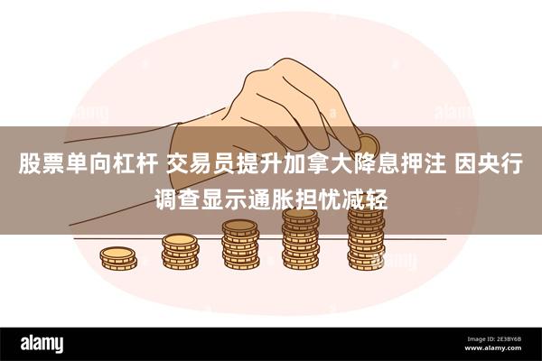 股票单向杠杆 交易员提升加拿大降息押注 因央行调查显示通胀担忧减轻