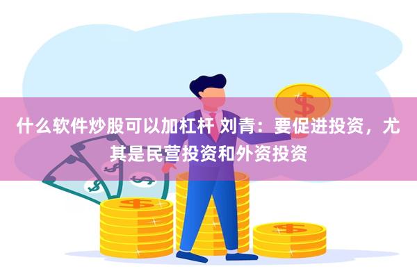 什么软件炒股可以加杠杆 刘青：要促进投资，尤其是民营投资和外资投资