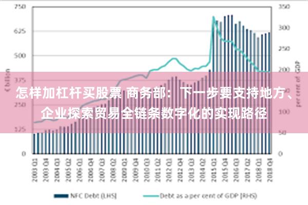 怎样加杠杆买股票 商务部：下一步要支持地方、企业探索贸易全链条数字化的实现路径