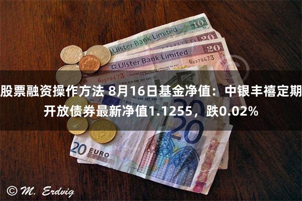 股票融资操作方法 8月16日基金净值：中银丰禧定期开放债券最新净值1.1255，跌0.02%