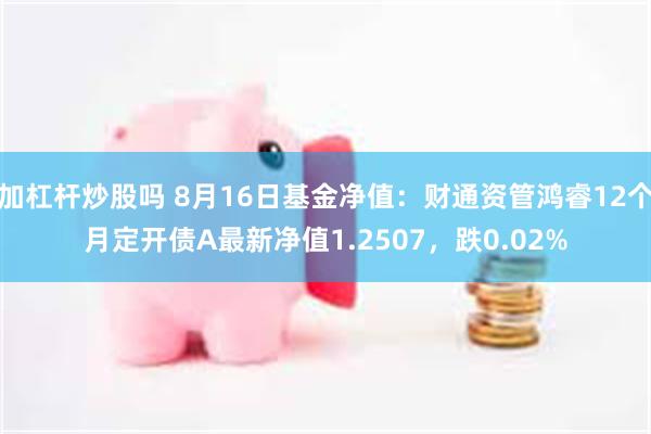 加杠杆炒股吗 8月16日基金净值：财通资管鸿睿12个月定开债A最新净值1.2507，跌0.02%