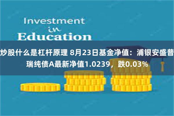 炒股什么是杠杆原理 8月23日基金净值：浦银安盛普瑞纯债A最新净值1.0239，跌0.03%