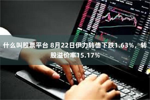 什么叫股票平台 8月22日伊力转债下跌1.63%，转股溢价率15.17%