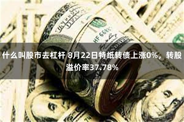 什么叫股市去杠杆 8月22日特纸转债上涨0%，转股溢价率37.78%