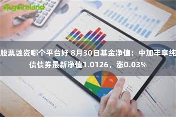 股票融资哪个平台好 8月30日基金净值：中加丰享纯债债券最新净值1.0126，涨0.03%