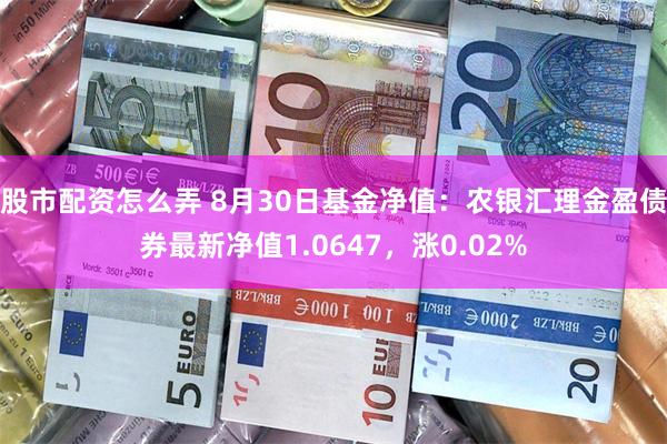 股市配资怎么弄 8月30日基金净值：农银汇理金盈债券最新净值1.0647，涨0.02%