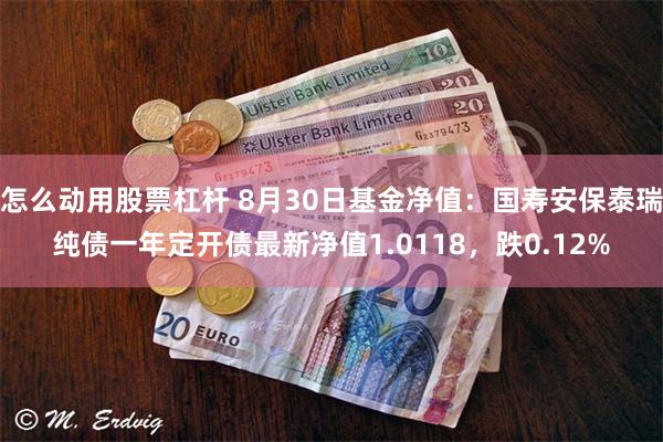 怎么动用股票杠杆 8月30日基金净值：国寿安保泰瑞纯债一年定开债最新净值1.0118，跌0.12%