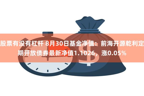 股票有没有杠杆 8月30日基金净值：前海开源乾利定期开放债券最新净值1.1026，涨0.05%