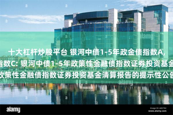 十大杠杆炒股平台 银河中债1-5年政金债指数A,银河中债1-5年政金债指数C: 银河中债1-5年政策性金融债指数证券投资基金清算报告的提示性公告