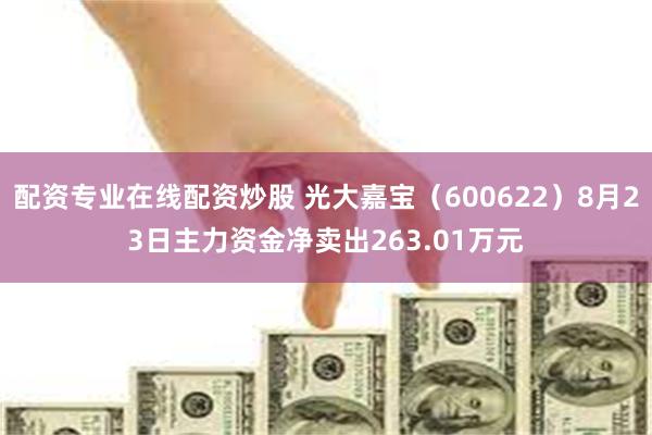 配资专业在线配资炒股 光大嘉宝（600622）8月23日主力资金净卖出263.01万元