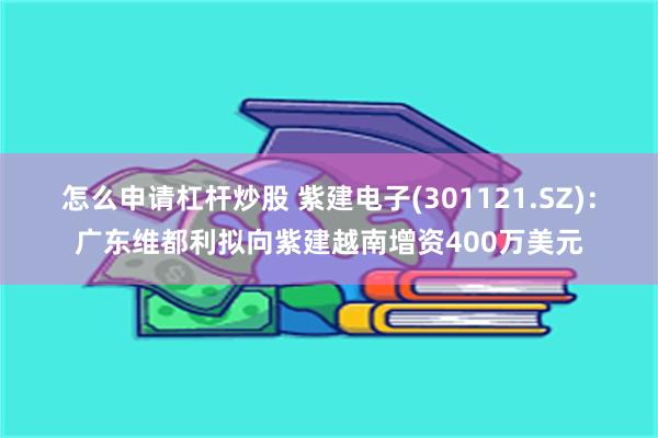 怎么申请杠杆炒股 紫建电子(301121.SZ)：广东维都利拟向紫建越南增资400万美元