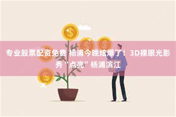 专业股票配资免费 杨浦今晚炫爆了！3D裸眼光影秀“点亮”杨浦滨江