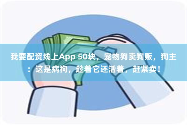 我要配资线上App 50块，宠物狗卖狗贩，狗主：这是病狗，趁着它还活着，赶紧卖！