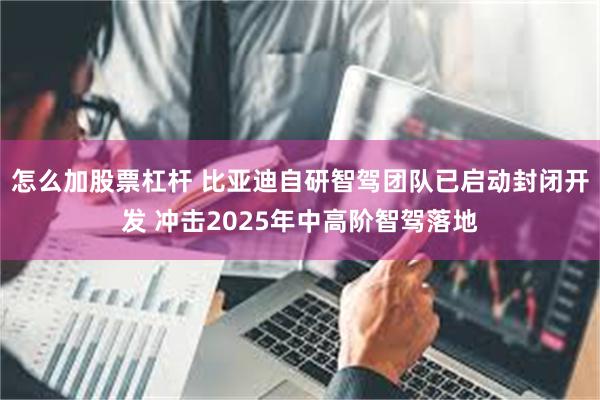 怎么加股票杠杆 比亚迪自研智驾团队已启动封闭开发 冲击2025年中高阶智驾落地