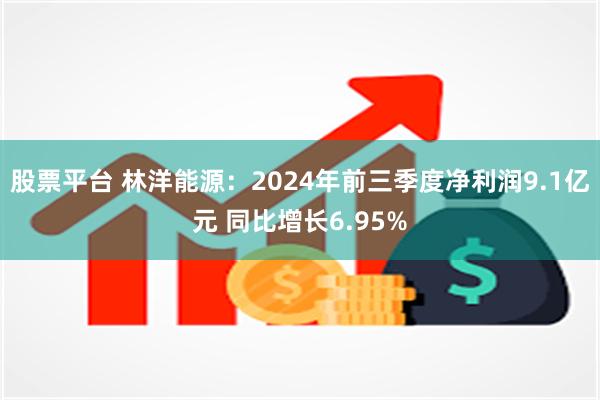 股票平台 林洋能源：2024年前三季度净利润9.1亿元 同比增长6.95%