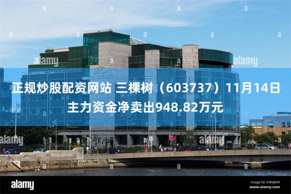 正规炒股配资网站 三棵树（603737）11月14日主力资金净卖出948.82万元