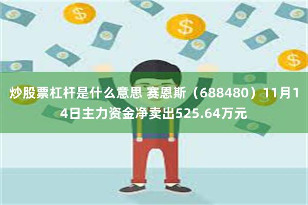 炒股票杠杆是什么意思 赛恩斯（688480）11月14日主力资金净卖出525.64万元