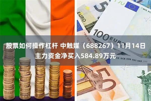 股票如何操作杠杆 中触媒（688267）11月14日主力资金净买入584.89万元