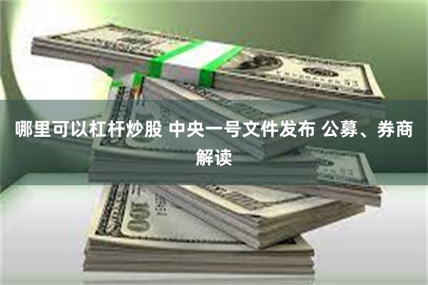 哪里可以杠杆炒股 中央一号文件发布 公募、券商解读